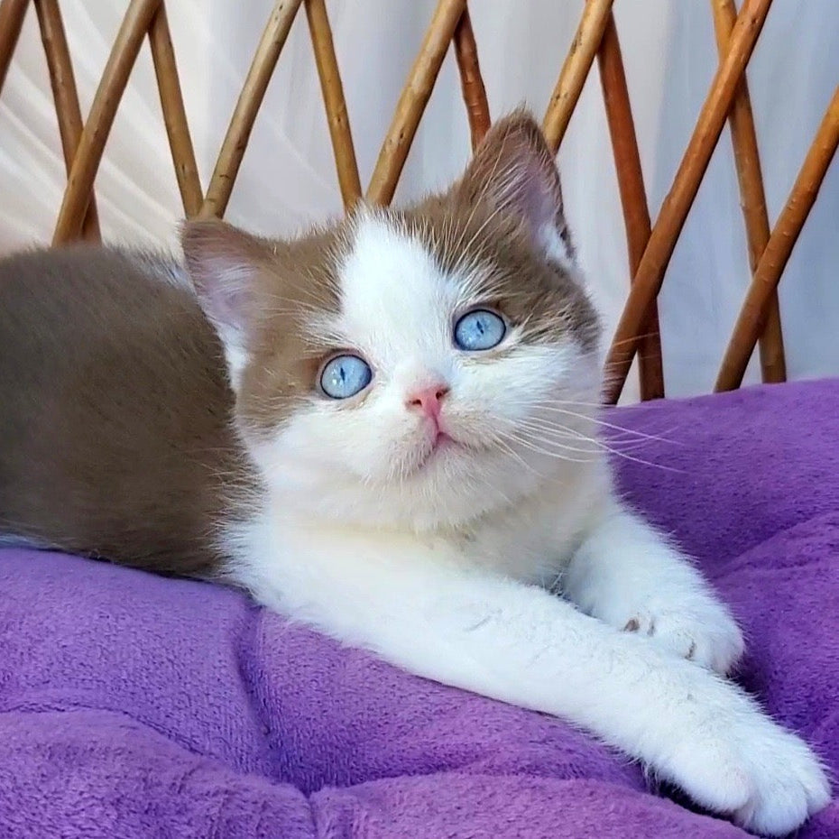 
                  
                    Steven
                  
                