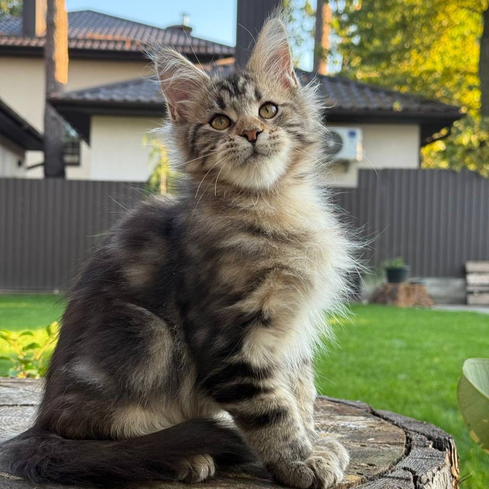 Baron
