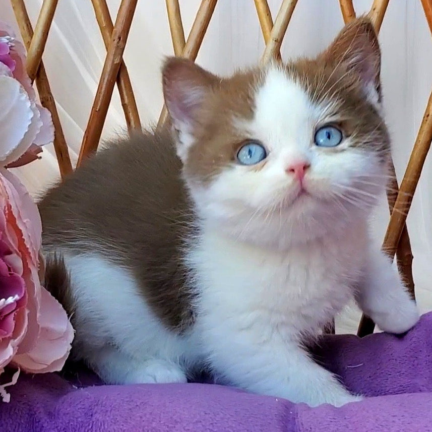 
                  
                    Steven
                  
                