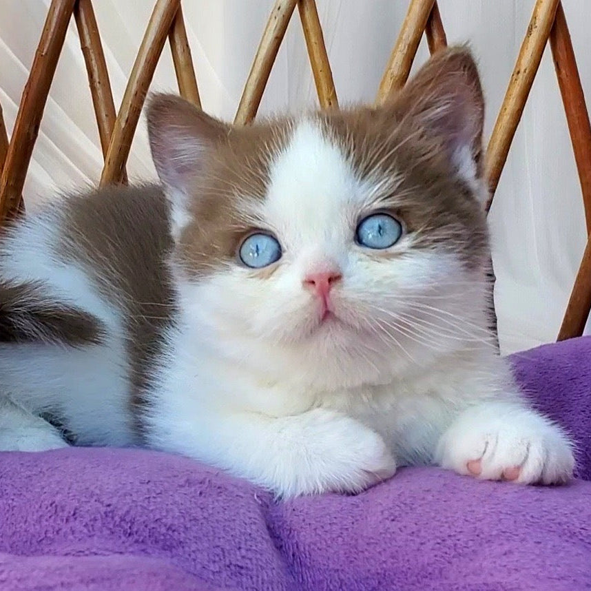 
                  
                    Steven
                  
                