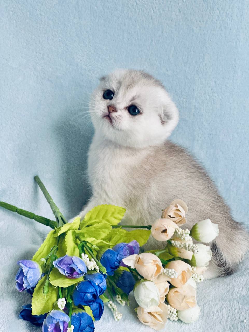 
                  
                    Caspar
                  
                