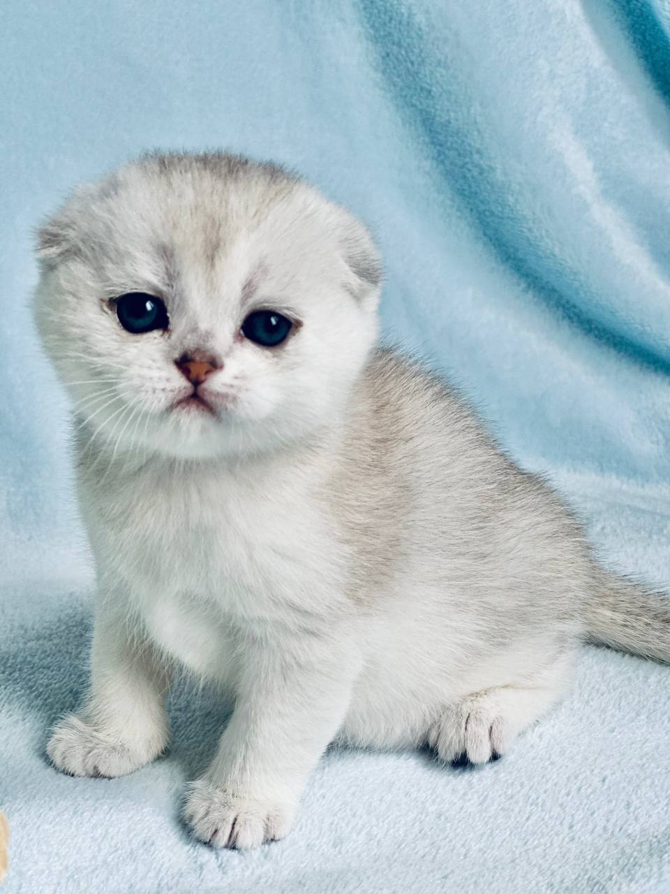 
                  
                    Caspar
                  
                