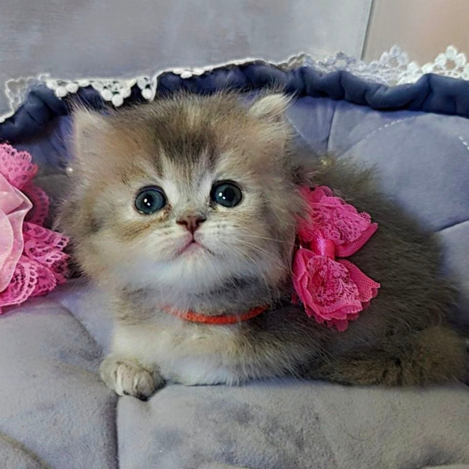 
                  
                    Tina
                  
                