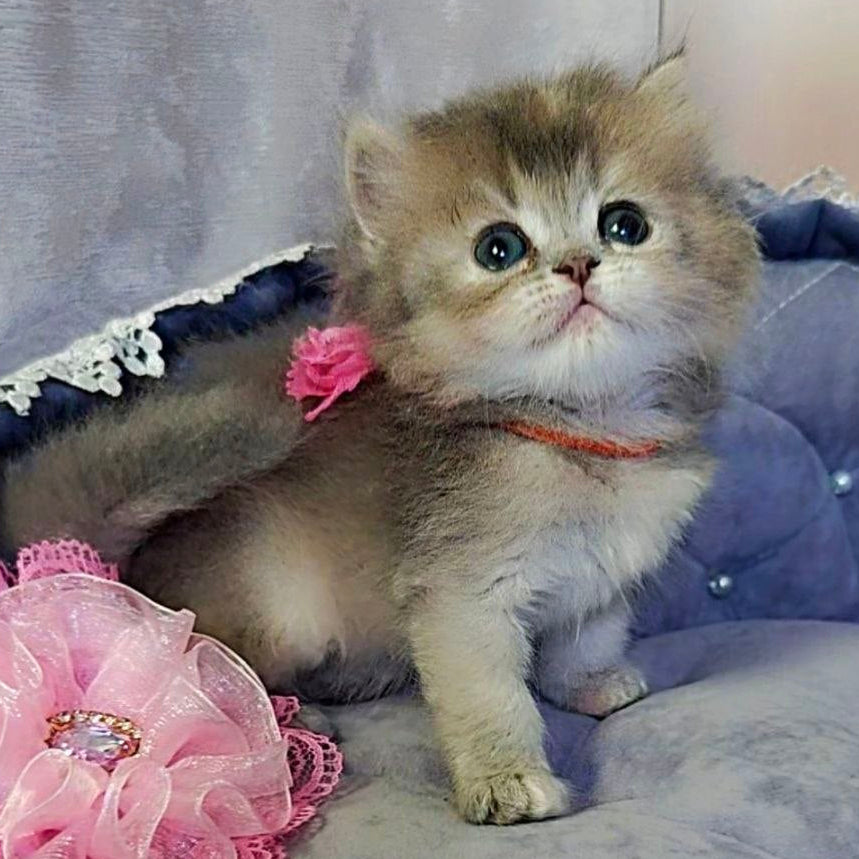 
                  
                    Tina
                  
                