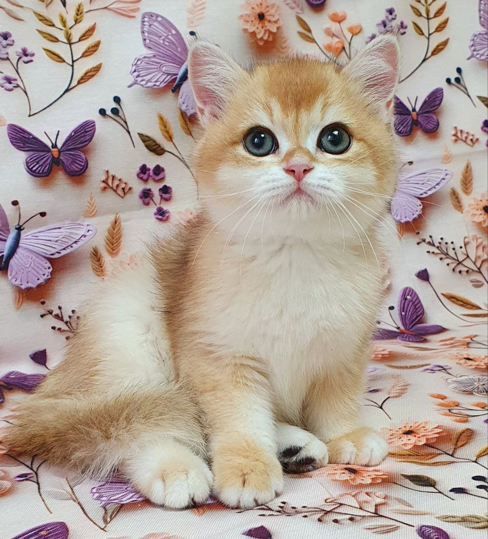 Watson