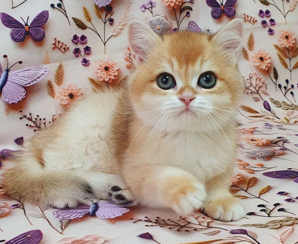 
                  
                    Watson
                  
                