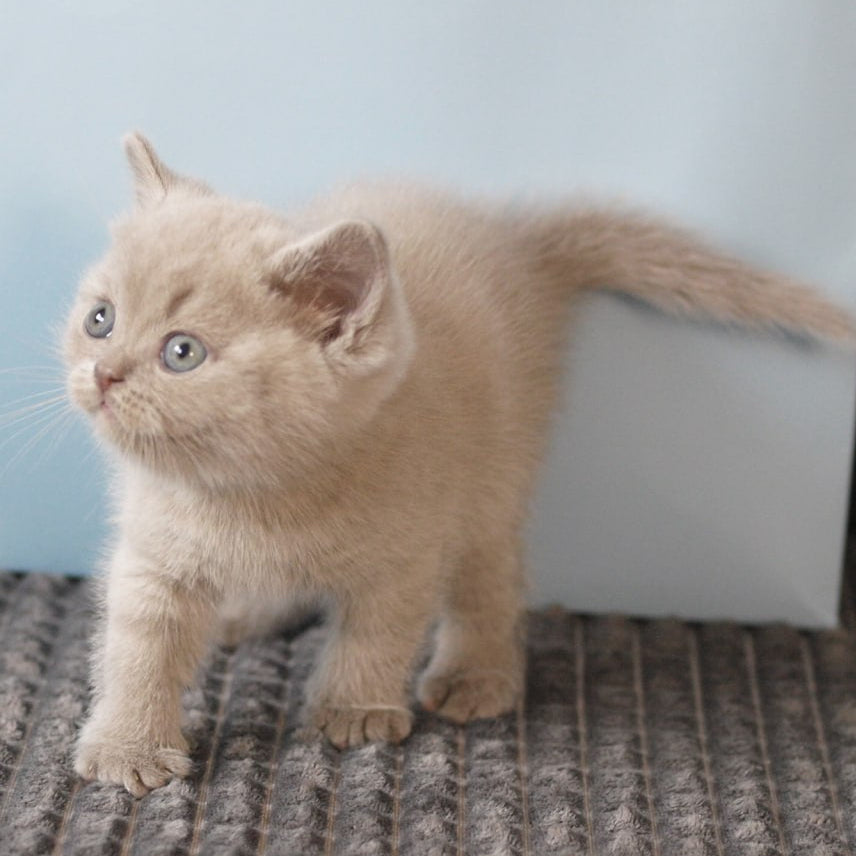 
                  
                    Oliver
                  
                