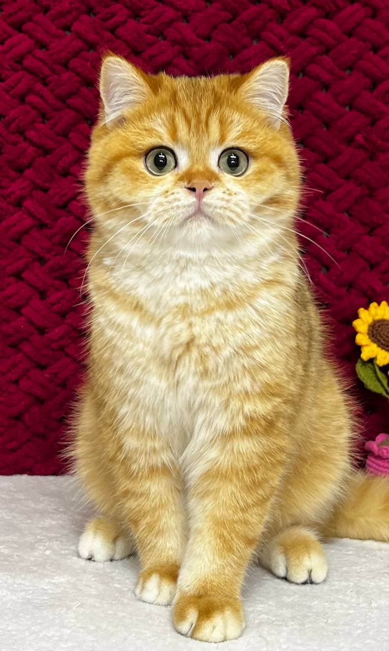 
                  
                    Jerry
                  
                
