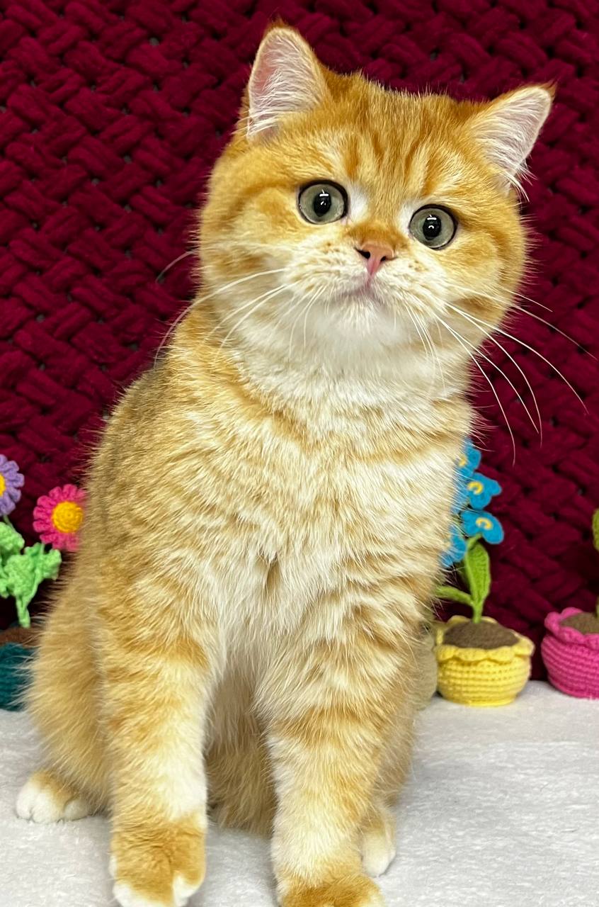 
                  
                    Jerry
                  
                