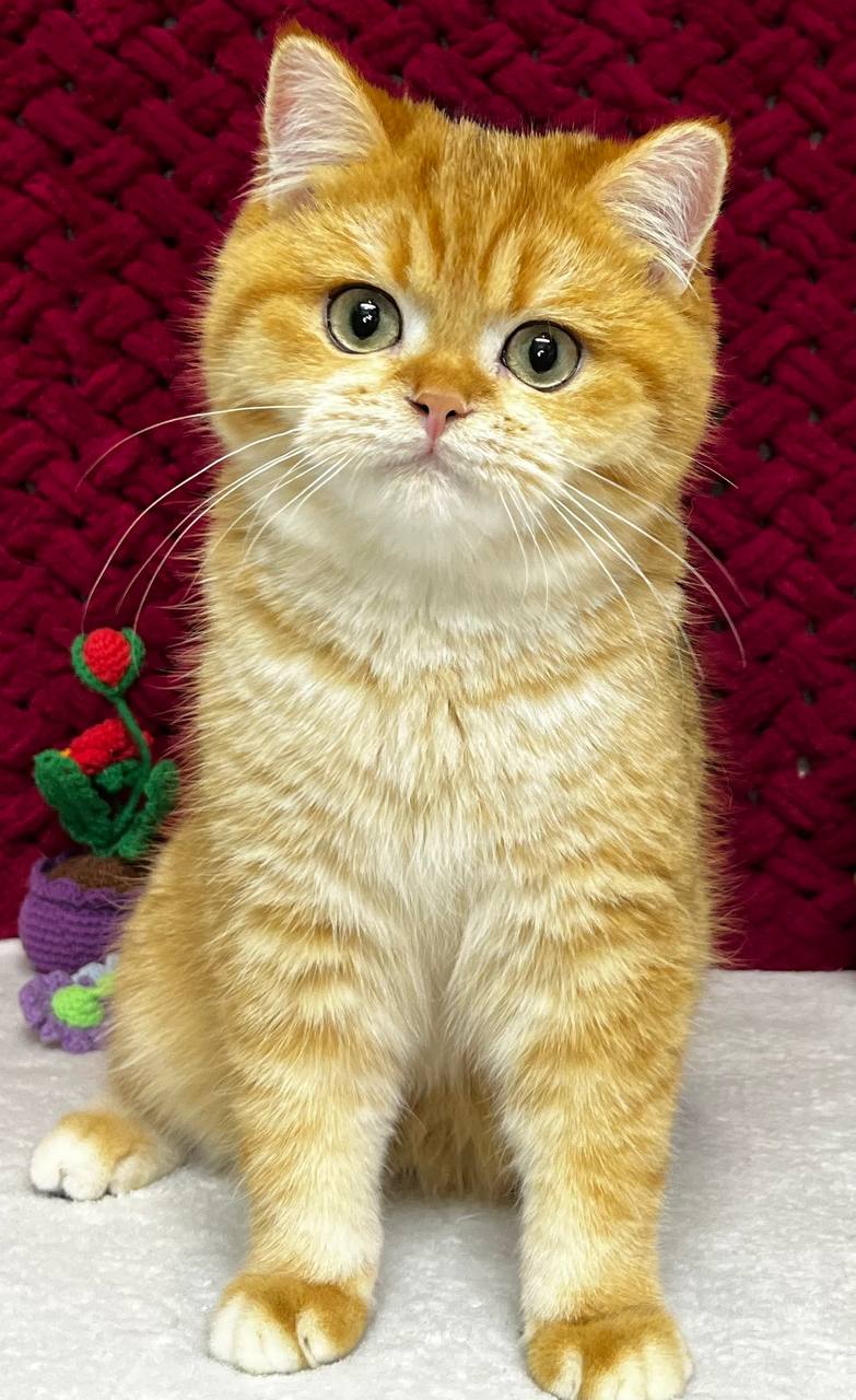 
                  
                    Jerry
                  
                