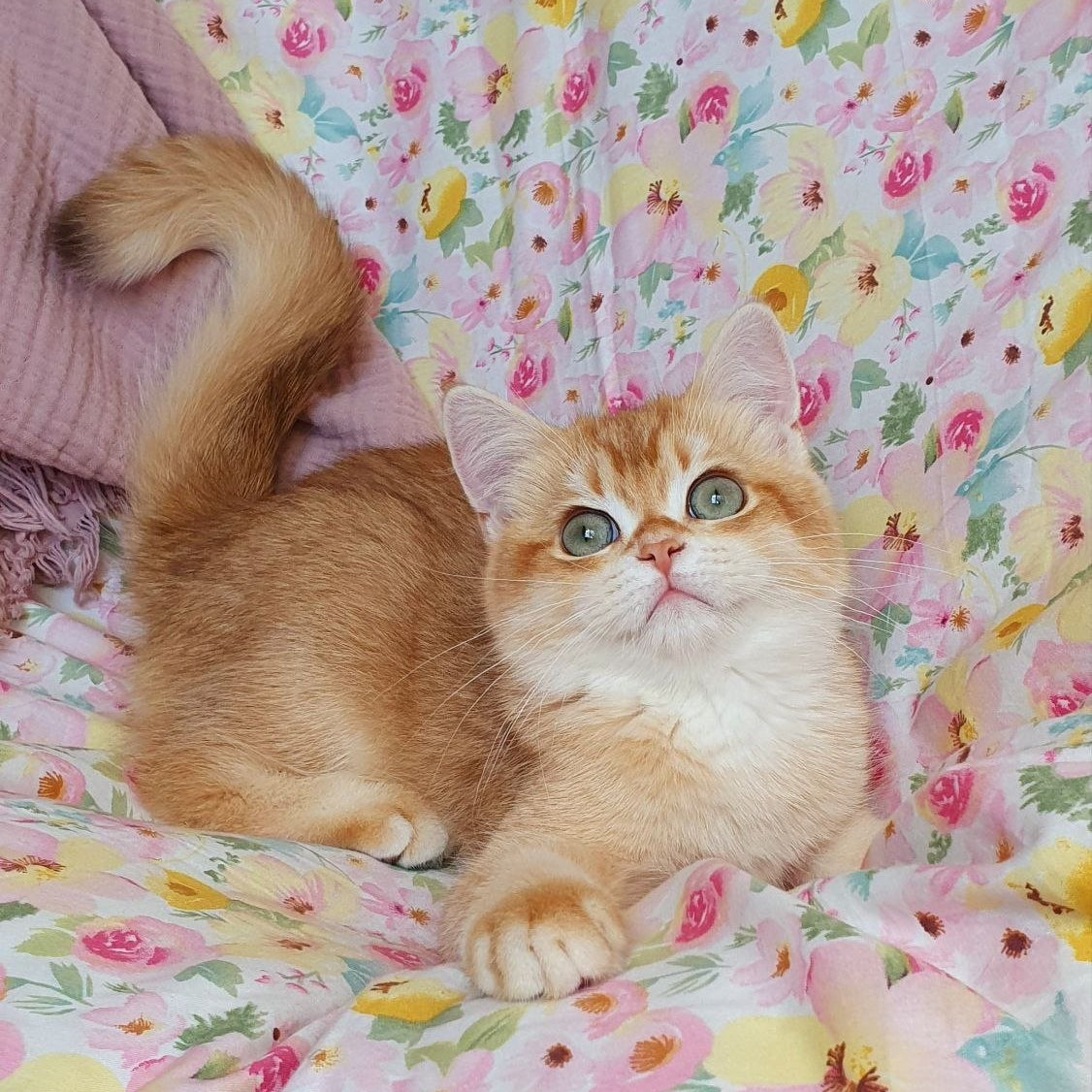 
                  
                    Tomas
                  
                