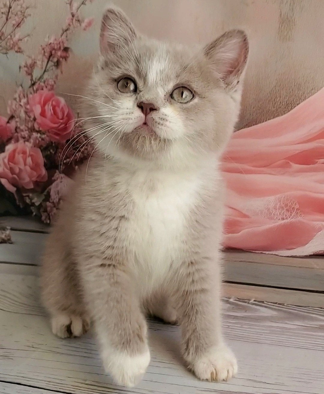 
                  
                    Casper
                  
                