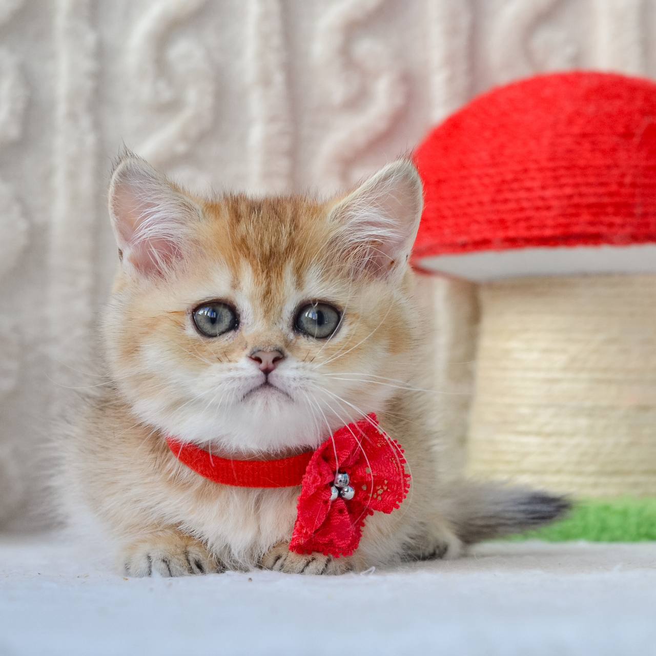
                  
                    Jenny
                  
                