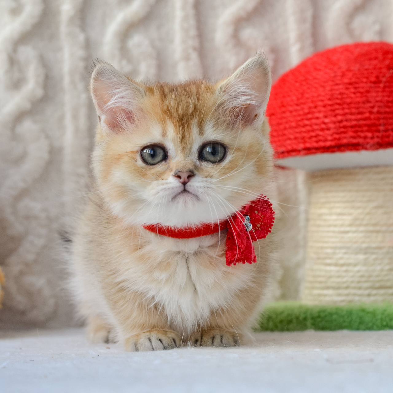
                  
                    Jenny
                  
                