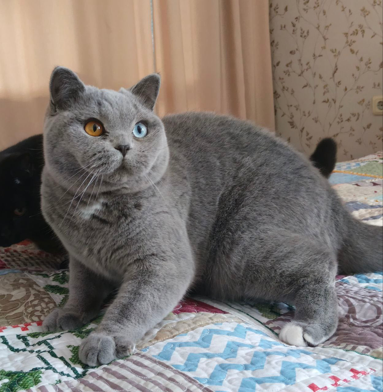 
                  
                    Simon
                  
                