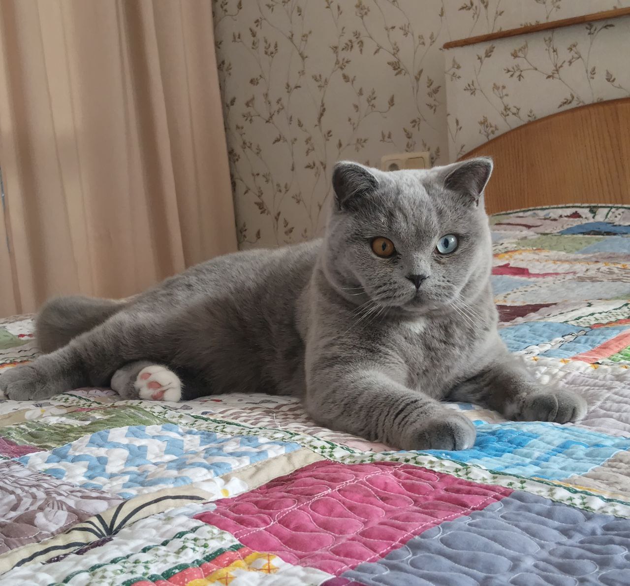
                  
                    Simon
                  
                