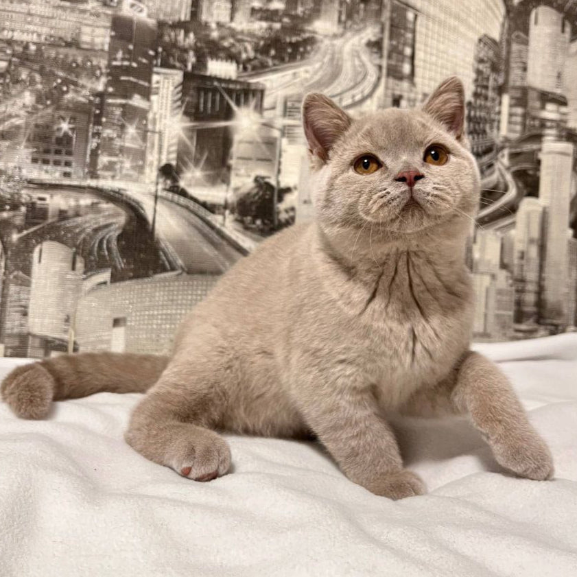 Oliver