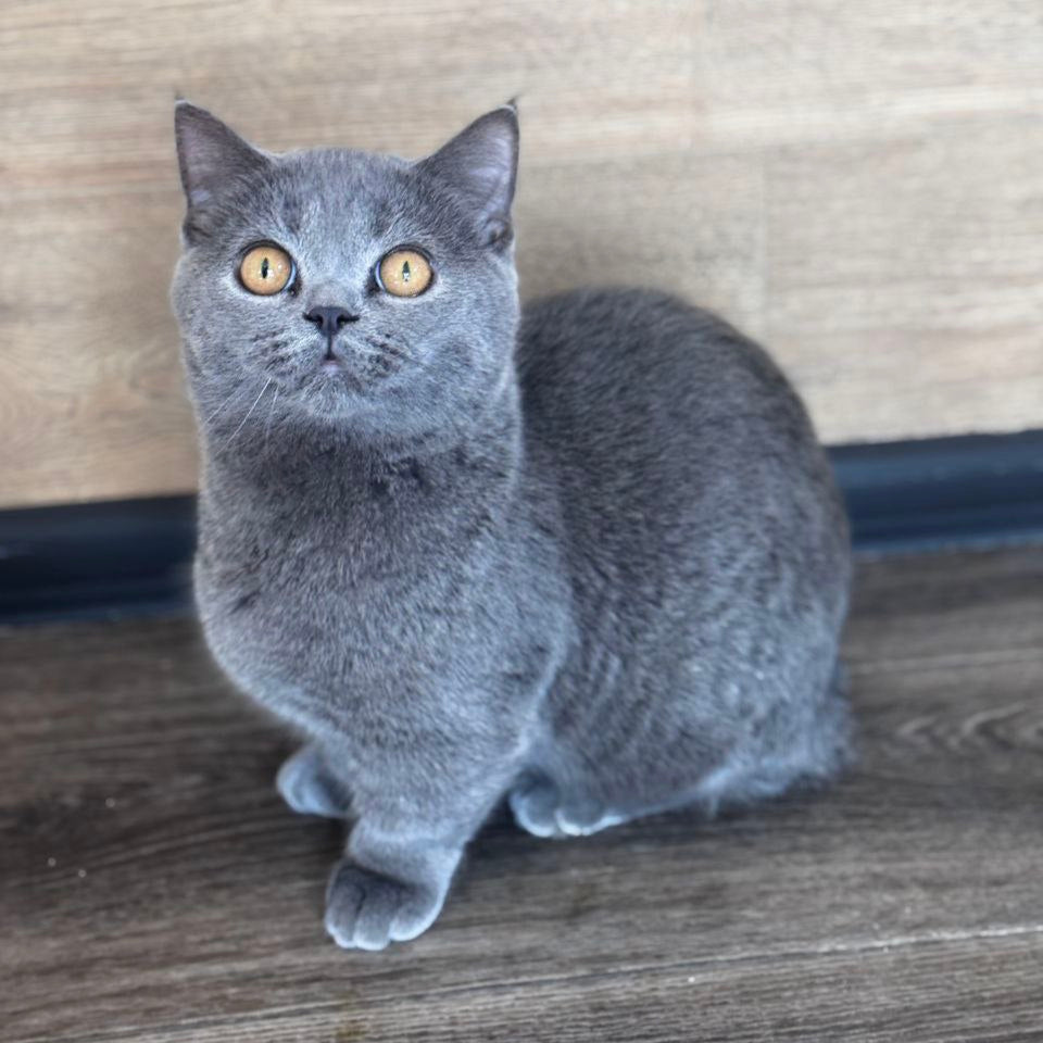 Benny