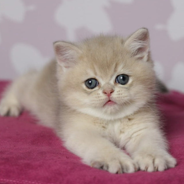 
                  
                    Oliver
                  
                