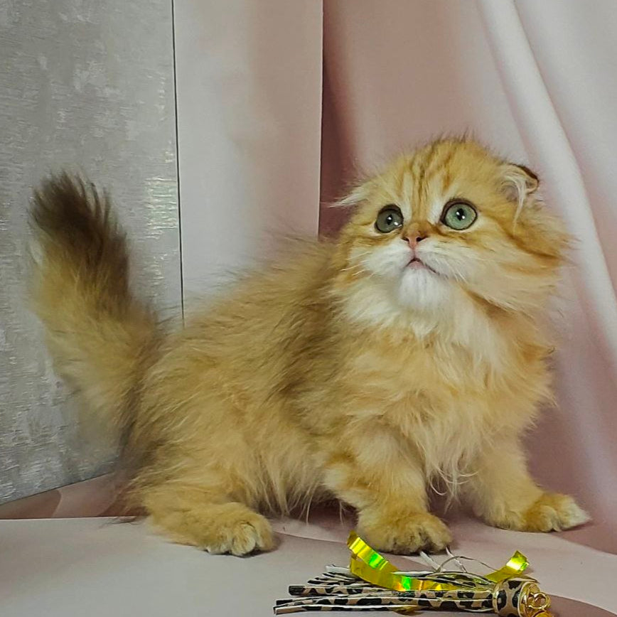 
                  
                    Kasper
                  
                