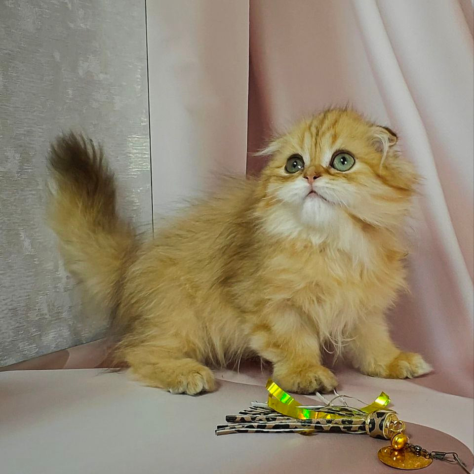 
                  
                    Kasper
                  
                