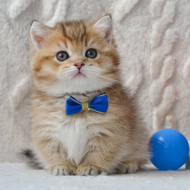 Benny