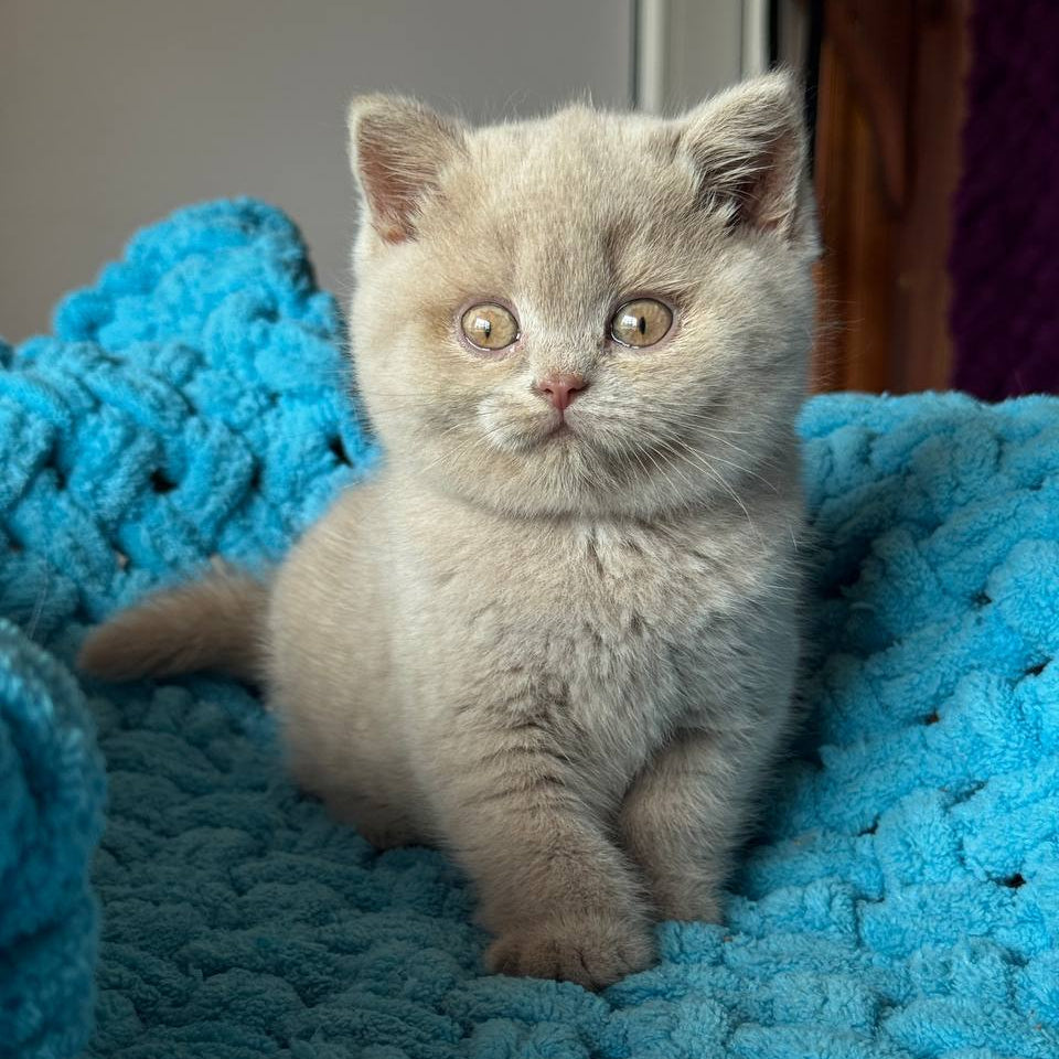 
                  
                    Tammy
                  
                