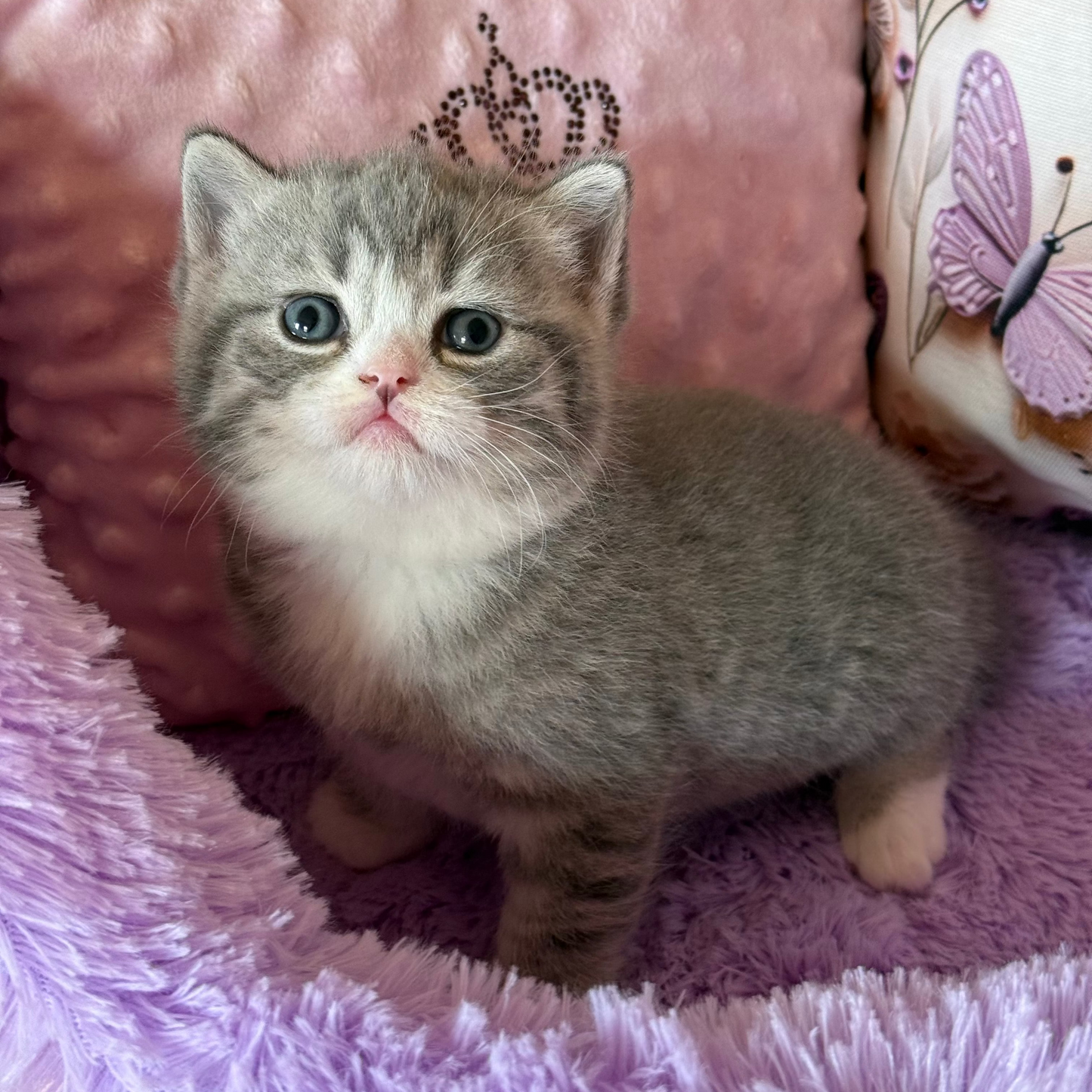 
                  
                    Oliver
                  
                