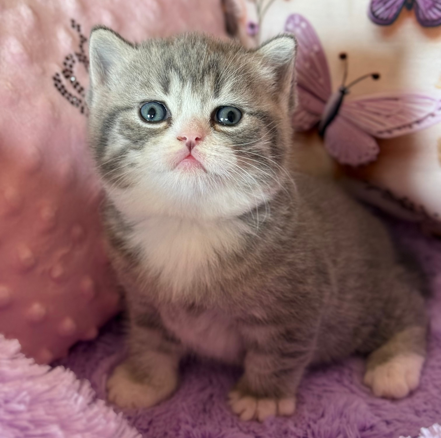 
                  
                    Oliver
                  
                