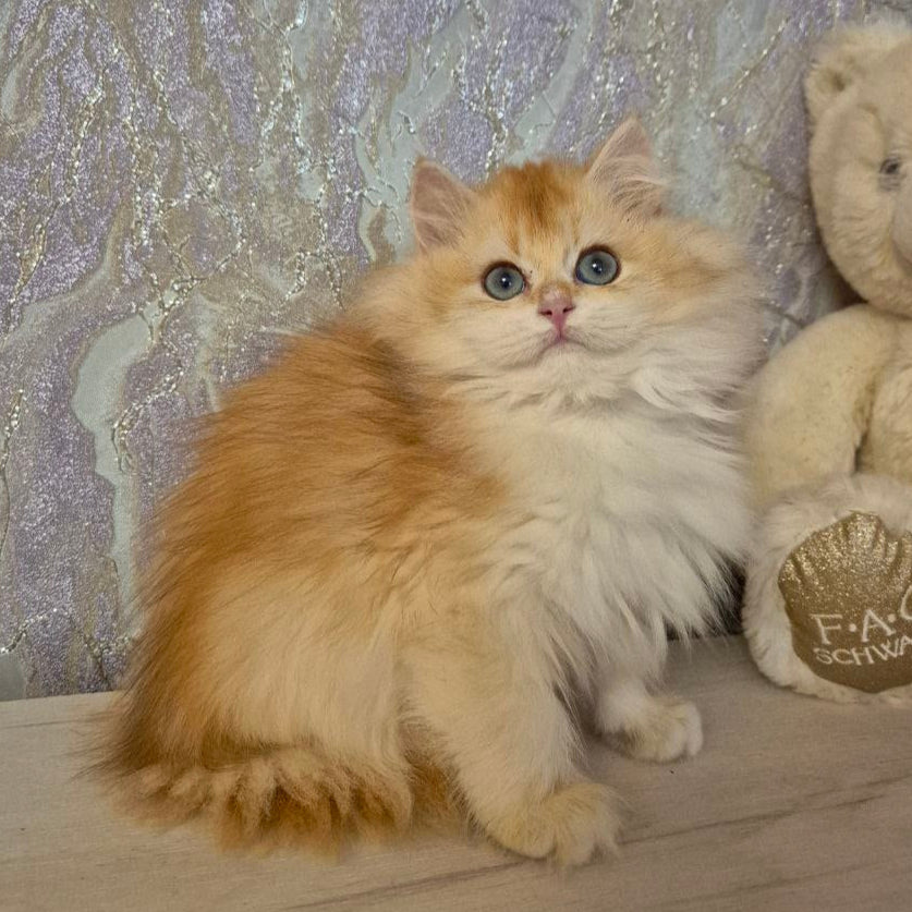 
                  
                    Mika
                  
                