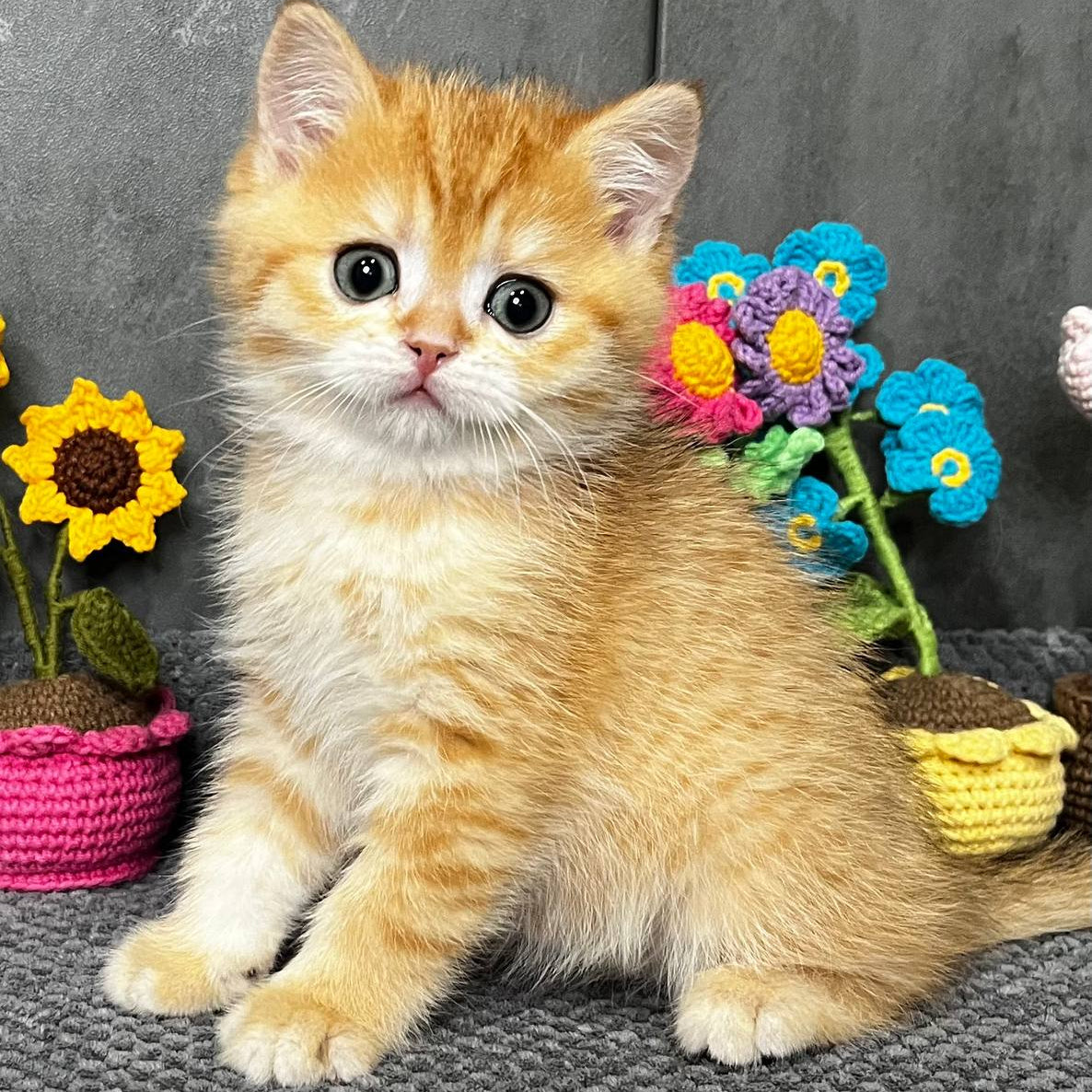 
                  
                    Jerry
                  
                