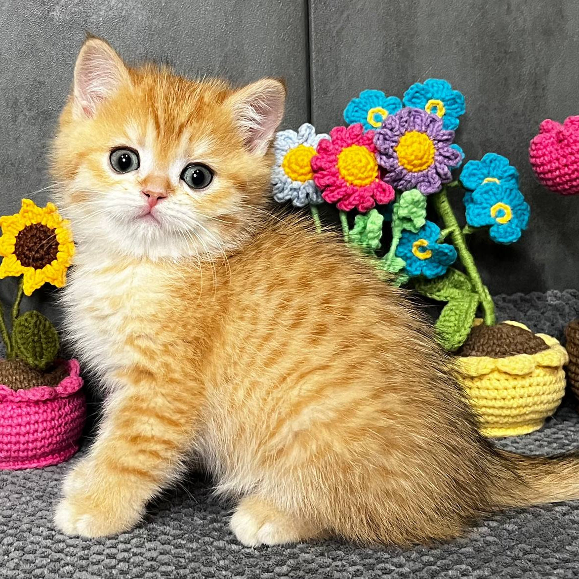 
                  
                    Jerry
                  
                