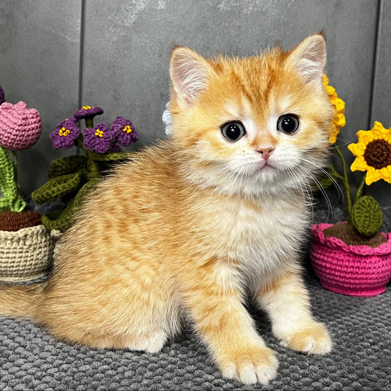 
                  
                    Jerry
                  
                