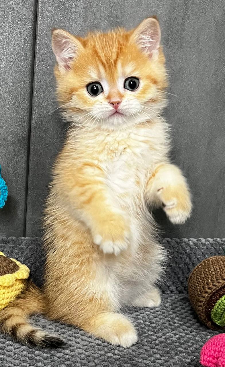
                  
                    Jerry
                  
                