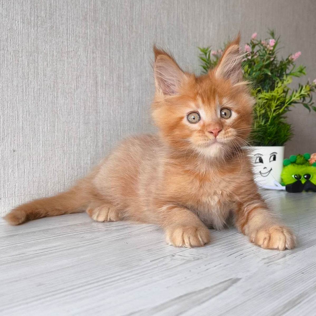 
                  
                    Oliver
                  
                