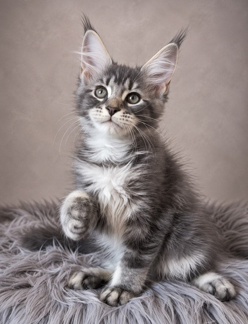 Jenna
