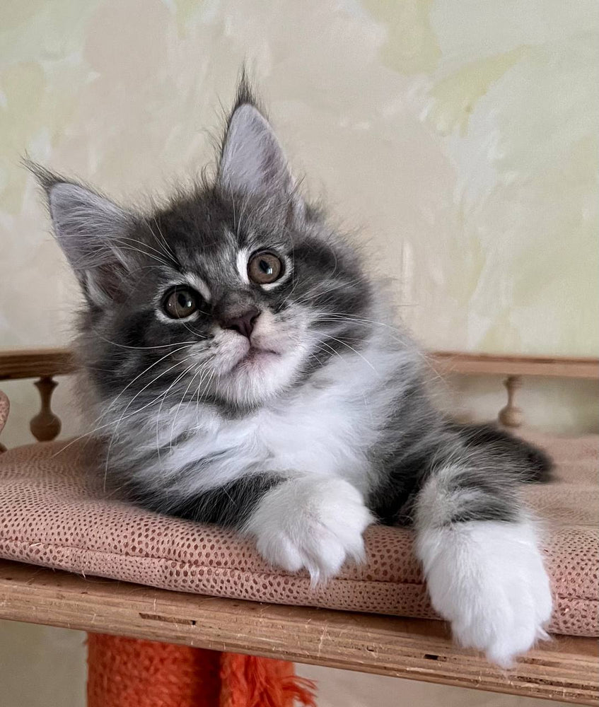 
                  
                    Jeremy
                  
                
