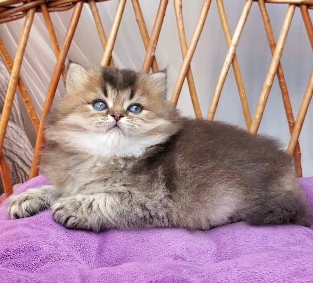 
                  
                    Zakhar
                  
                