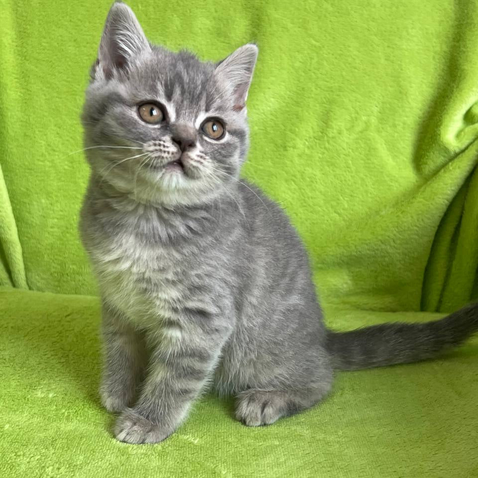
                  
                    Tina
                  
                