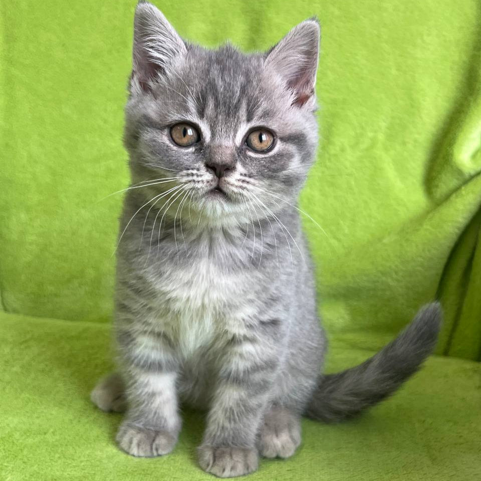 
                  
                    Tina
                  
                