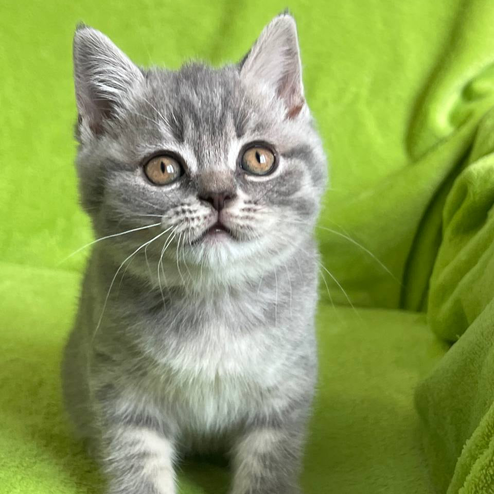 
                  
                    Tina
                  
                
