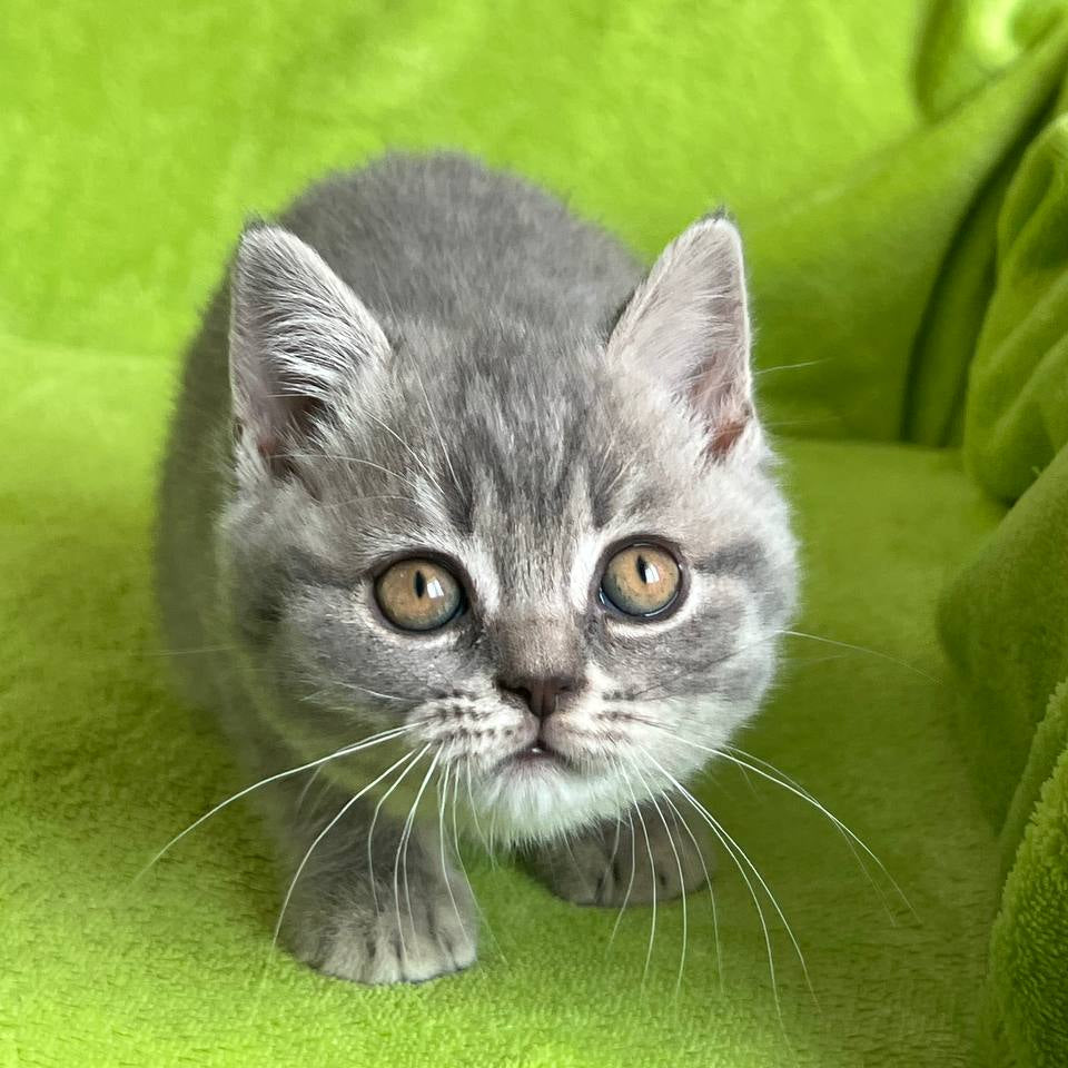 
                  
                    Tina
                  
                