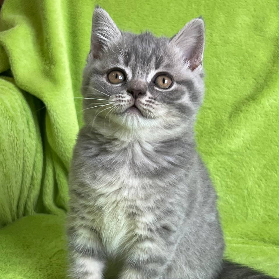 
                  
                    Tina
                  
                