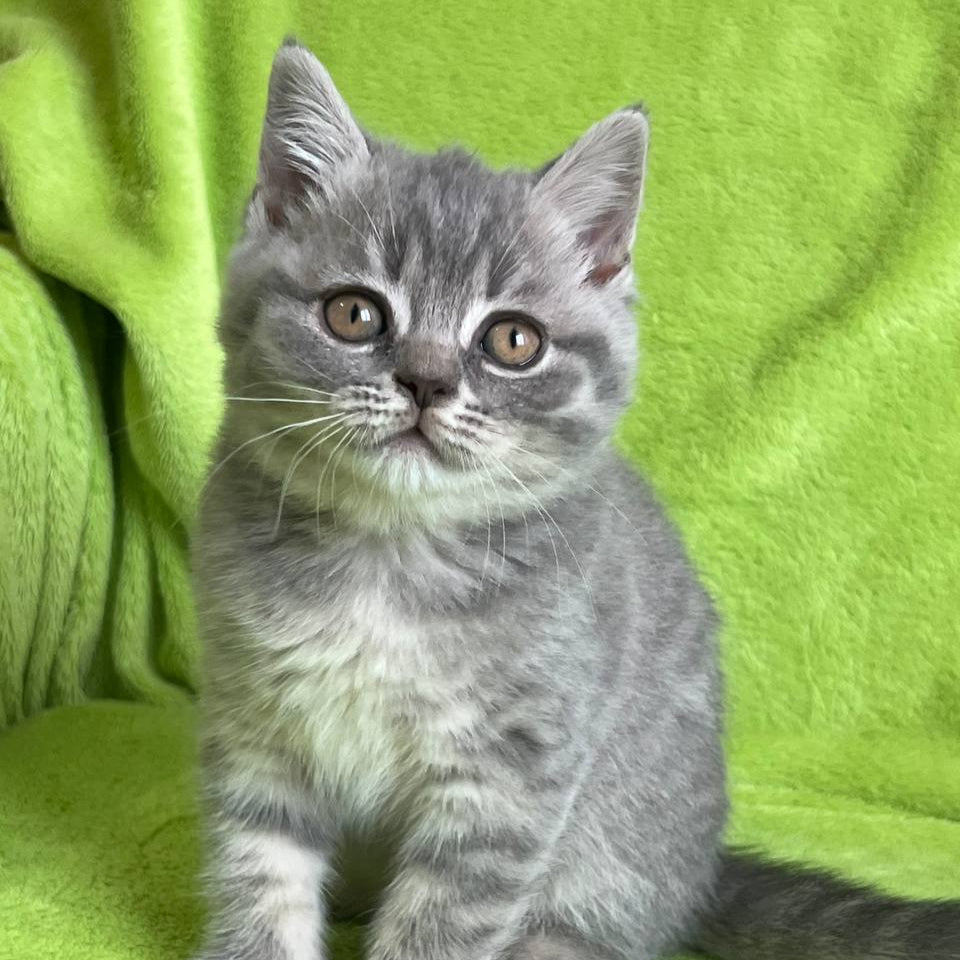 
                  
                    Tina
                  
                