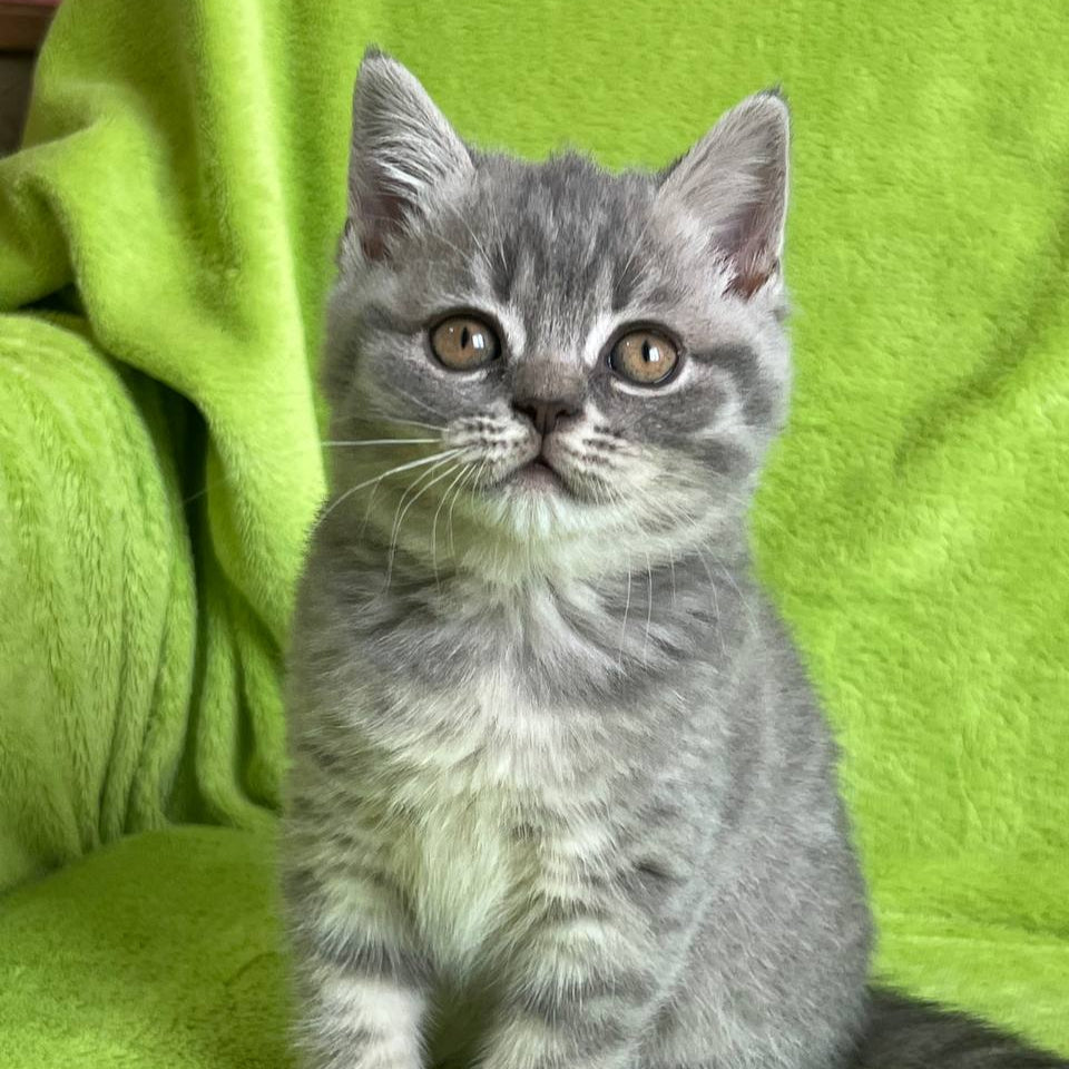 Tina